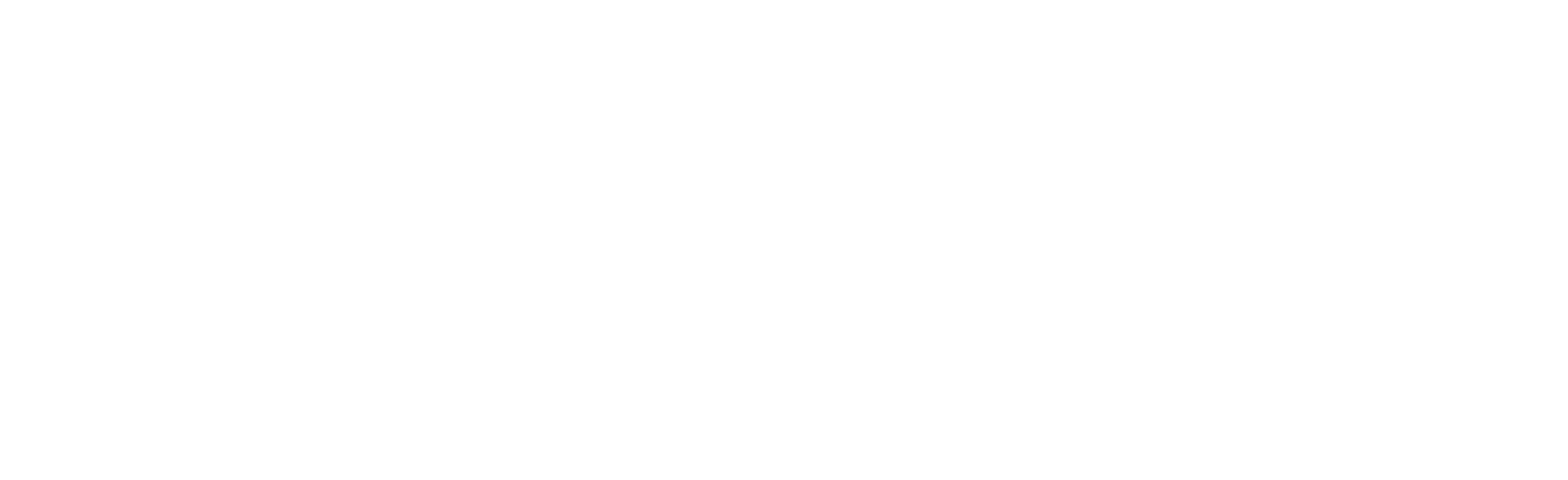 RISE ETF